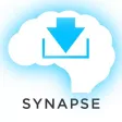Biology Synapse Biology Synapse
