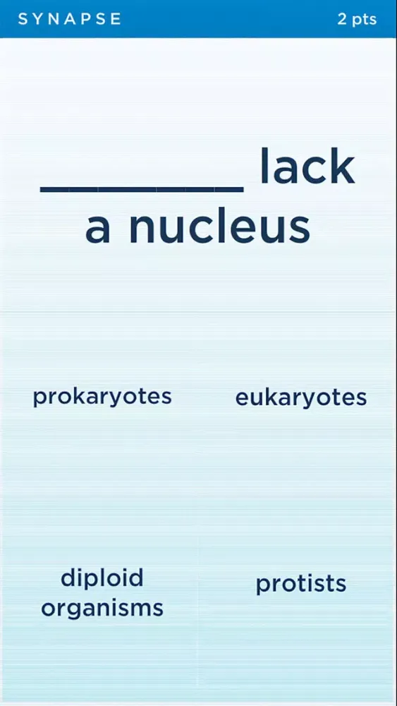 Tangkapan layar Biology Synapse