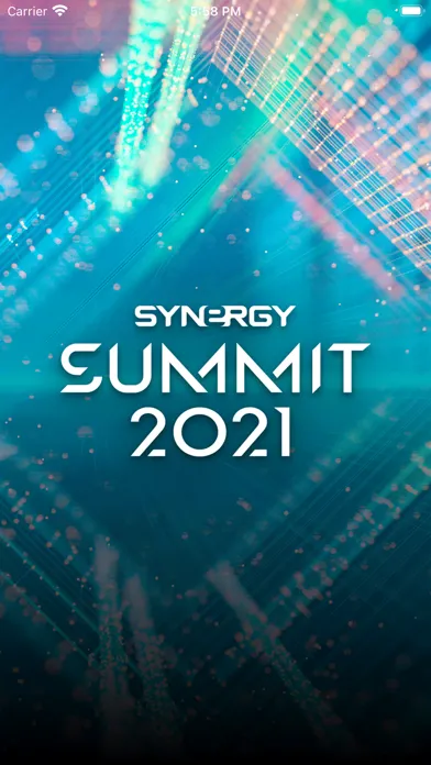 تصاویر Synergy Summit 2021