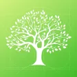MobileFamilyTree 10