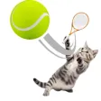 Cat Sports