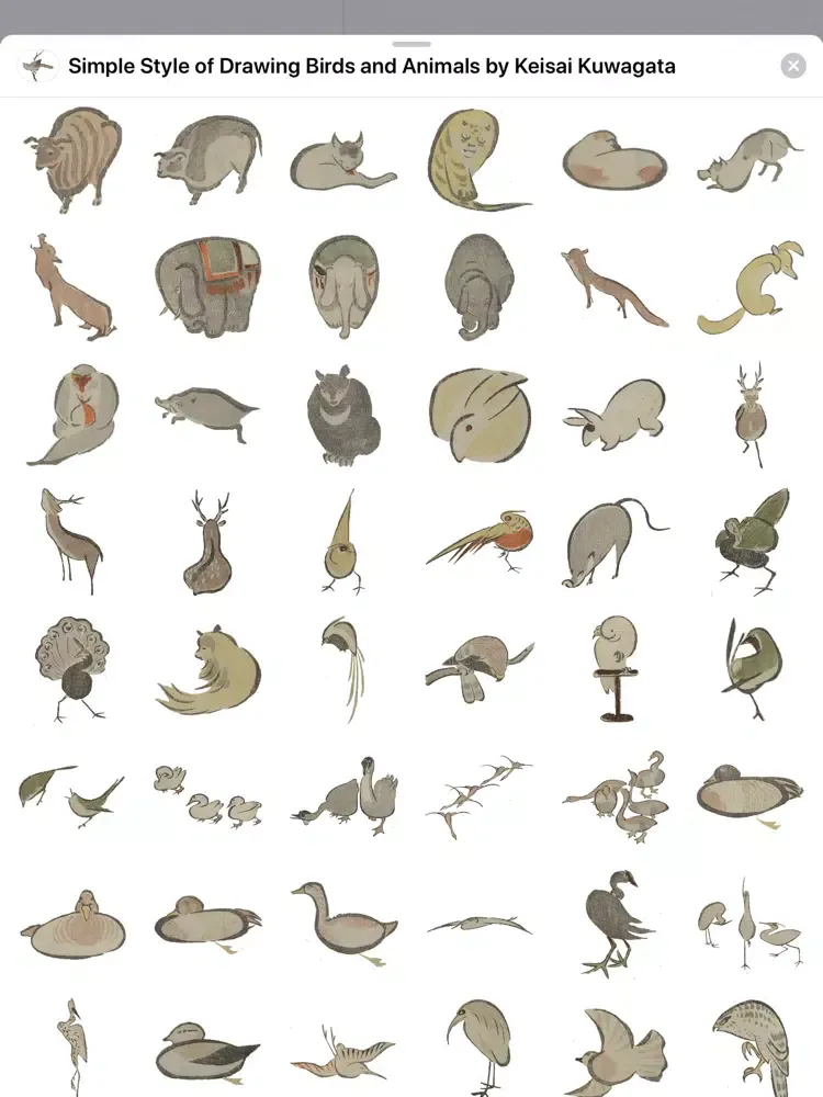 Birds and Animals Stickers iPad 应用截图