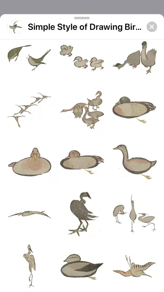 Birds and Animals Stickers应用截图
