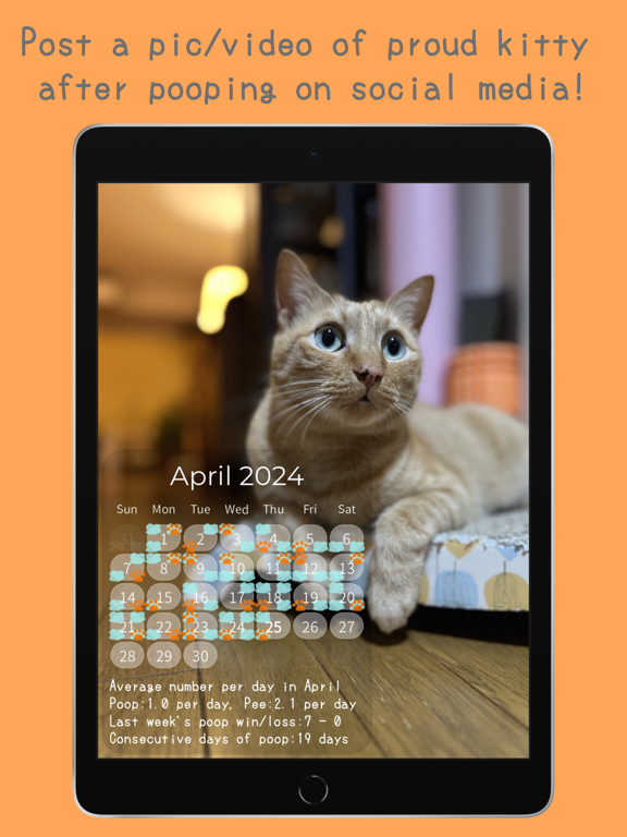 Tangkapan layar OgenkoCat - Poop Calendar iPad 