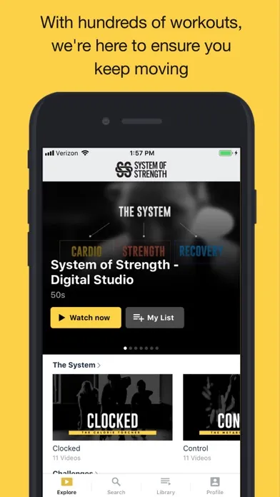 Captures d'écran de System of Strength Online