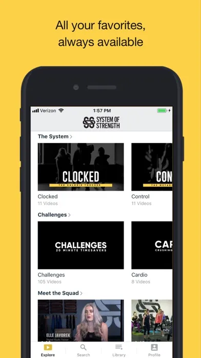 Captures d'écran de System of Strength Online