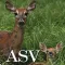 Psalm Daily Quotes ASV