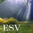 Psalm Daily Quotes ESV Psalm Daily Quotes ESV