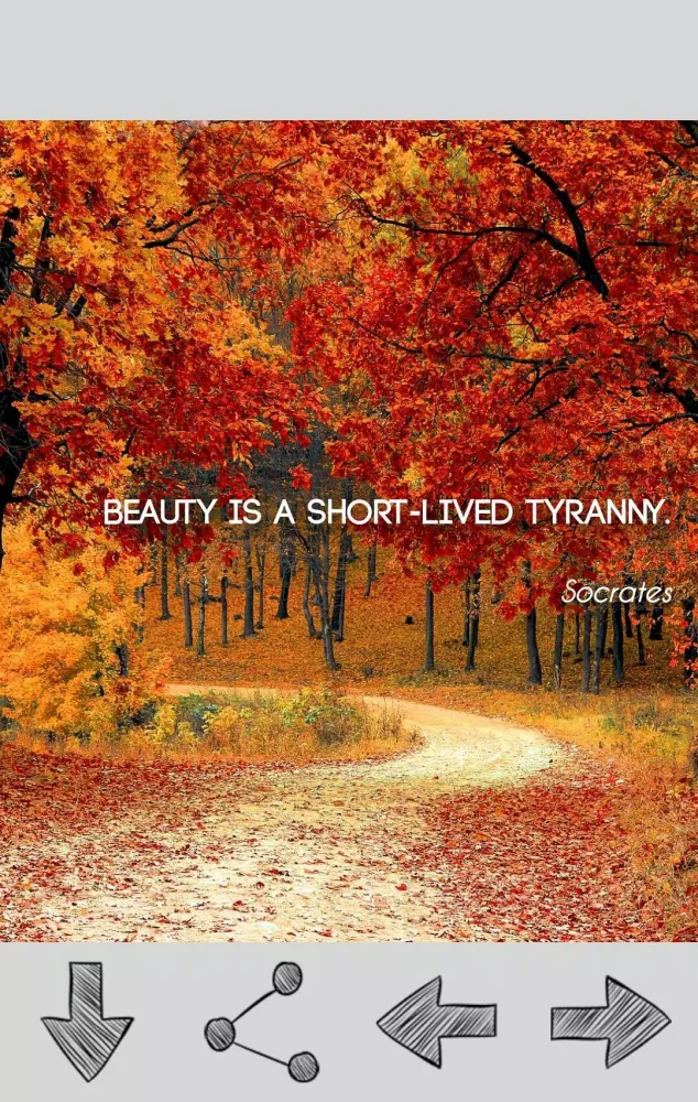 Скриншоты Socrates Quotes