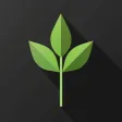 Grow Translate