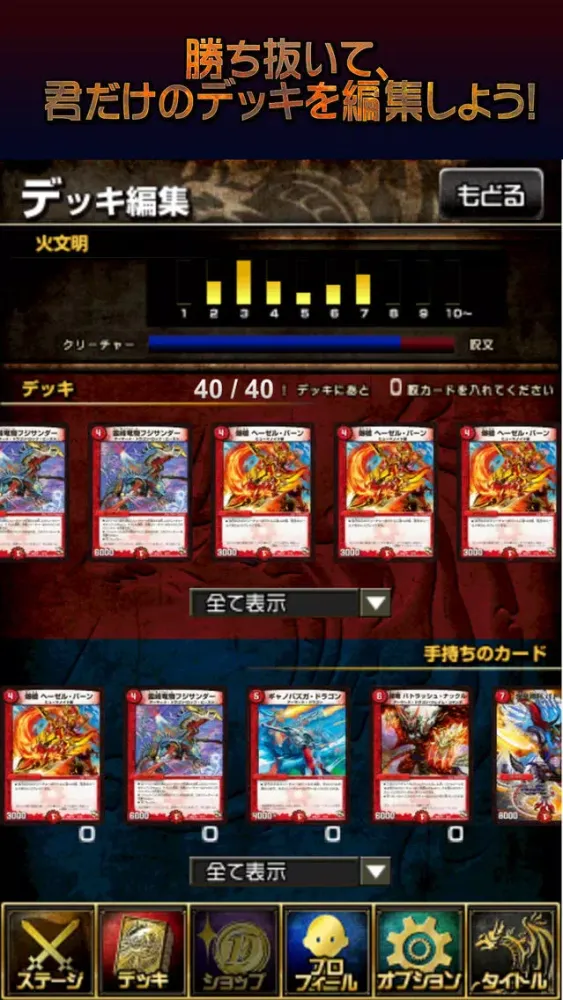 デュエル・マスターズ　エントリーゲート オブ ドラゴンサーガ 스크린샷