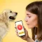 Dog Translator