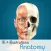 Anatomy - 1K+ Illustrations
