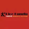 Rice Kungfu Rice Kungfu