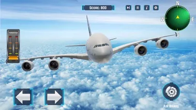 Passenger Airplane Flight Sim سکرین شاٹس