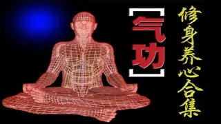 Capturas de tela do 養生 氣功 大全[4本簡繁]