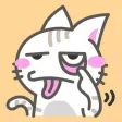 GauGuai Cat GauGuai Cat
