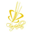 Farfalla Farfalla