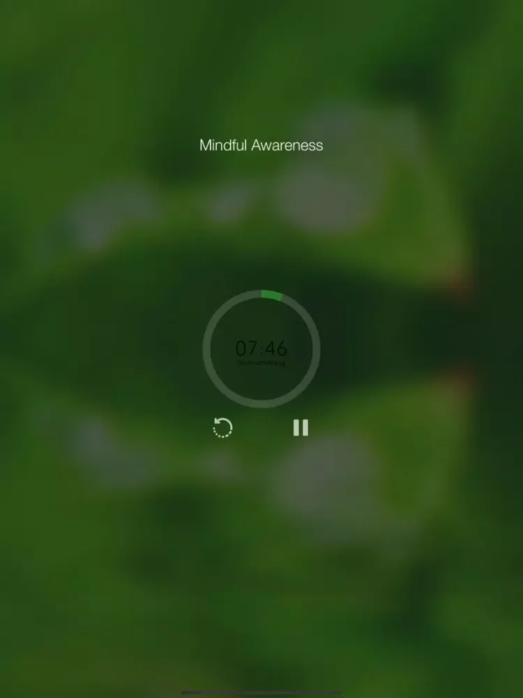 ภาพหน้าจอของ Learn to Relax iPad