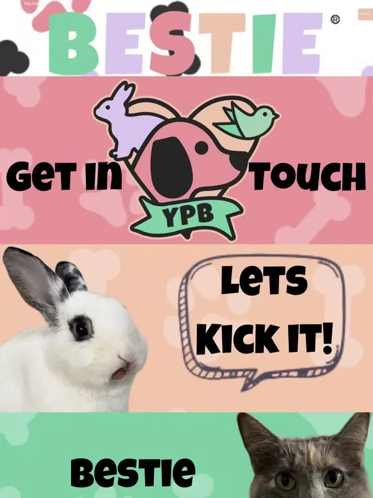 Скриншоты Your Pet's Bestie iPad 