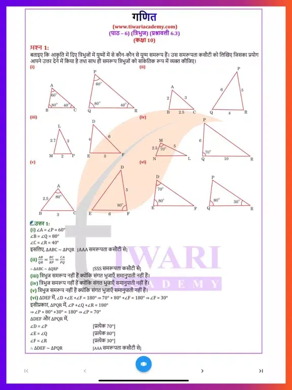 Class 10 Maths in Hindi Medium iPad  스크린샷