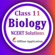 Class 11 Biology Solutions