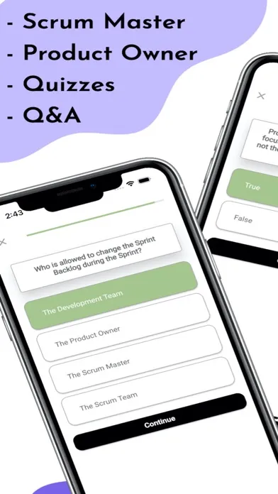 Captures d'écran de Scrum Certification Tests