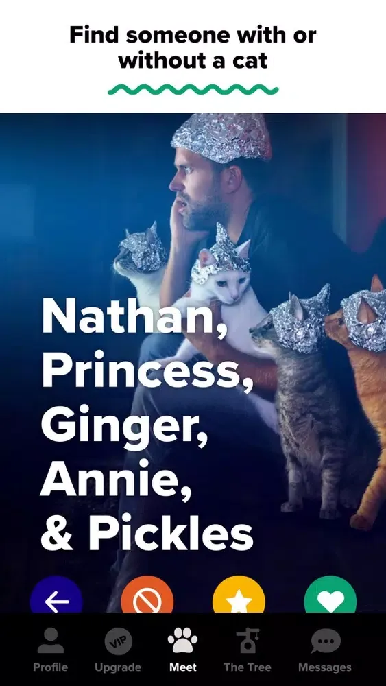 Tangkapan skrin Tabby: Cat Person's Dating App