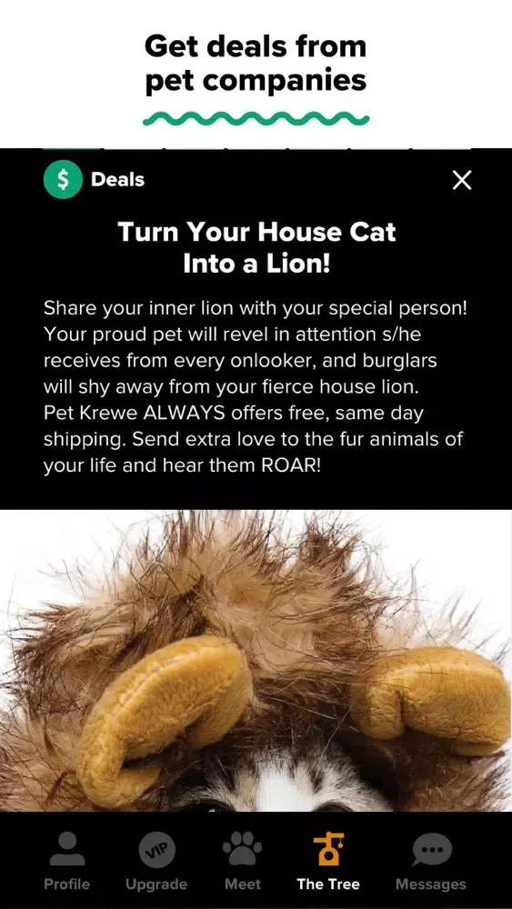 Tangkapan skrin Tabby: Cat Person's Dating App