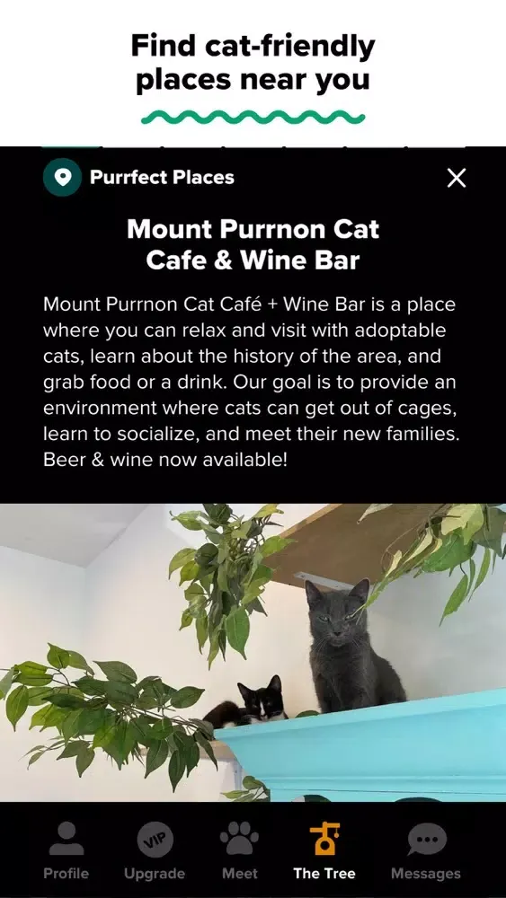Tangkapan skrin Tabby: Cat Person's Dating App
