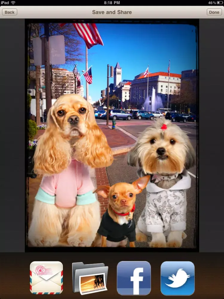 Dog Me iPad  স্ক্রিনশট