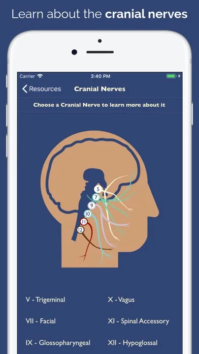 Dysphagia Therapy Screenshots