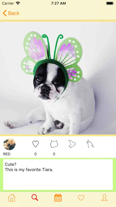 Tangkapan skrin Diary for Pet