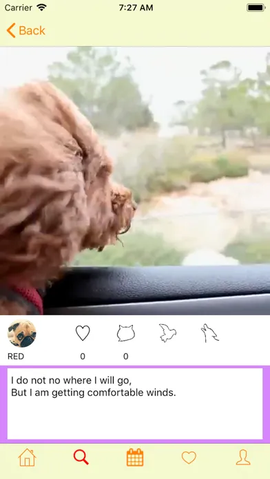 Tangkapan skrin Diary for Pet