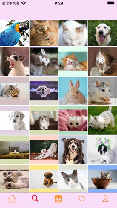 Tangkapan skrin Diary for Pet