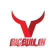 Big Bull Investments
