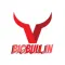 Big Bull Investments