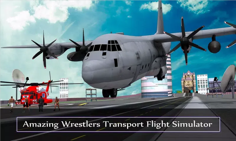 Tag Team Wrestlers Transport应用截图