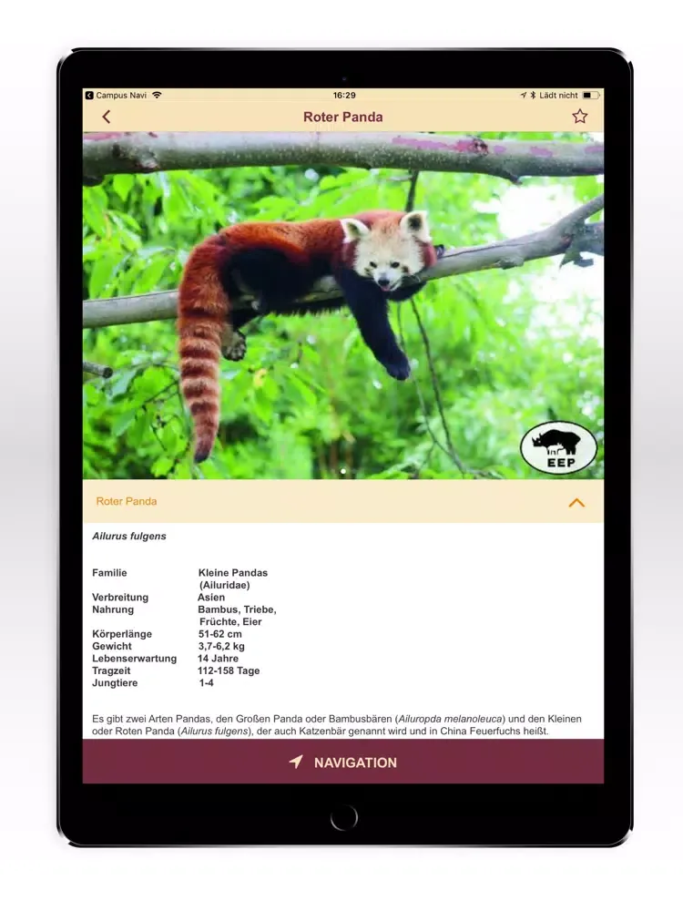 صور Opel-Zoo App iPad 