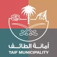 لحومي