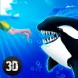 Angry Killer Whale Orca Attack Full Angry Killer Whale Orca Attack Full