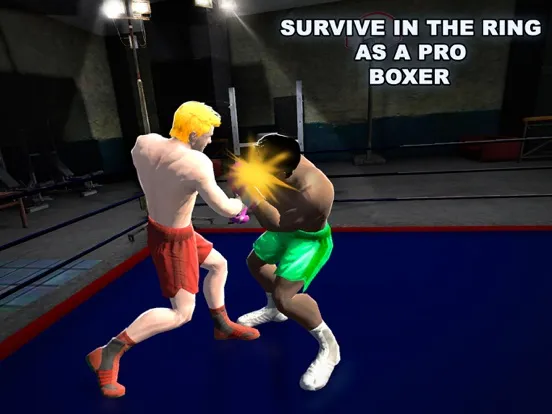 Capturas de pantalla de Real Punch Box Fighting 3D iPad 