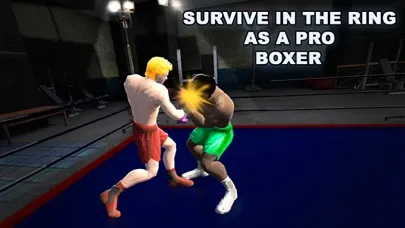 Capturas de pantalla de Real Punch Box Fighting 3D