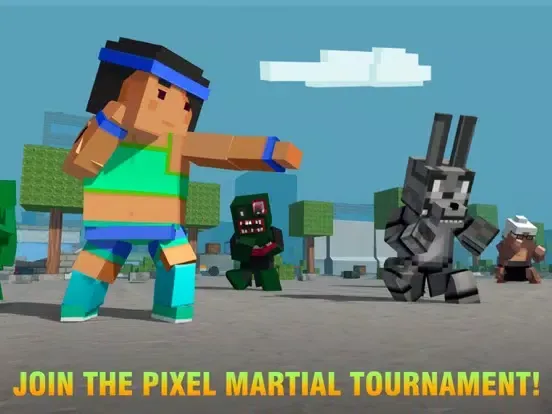 ภาพหน้าจอของ Cube Ninja Kung Fu Fighting Challenge 3D iPad 