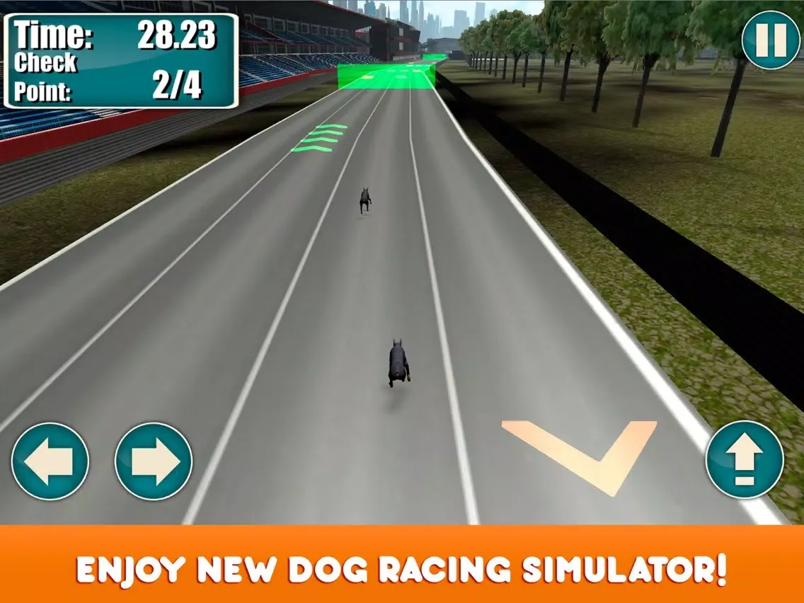 Greyhound Dog Racing Tournament iPad  Screenshots