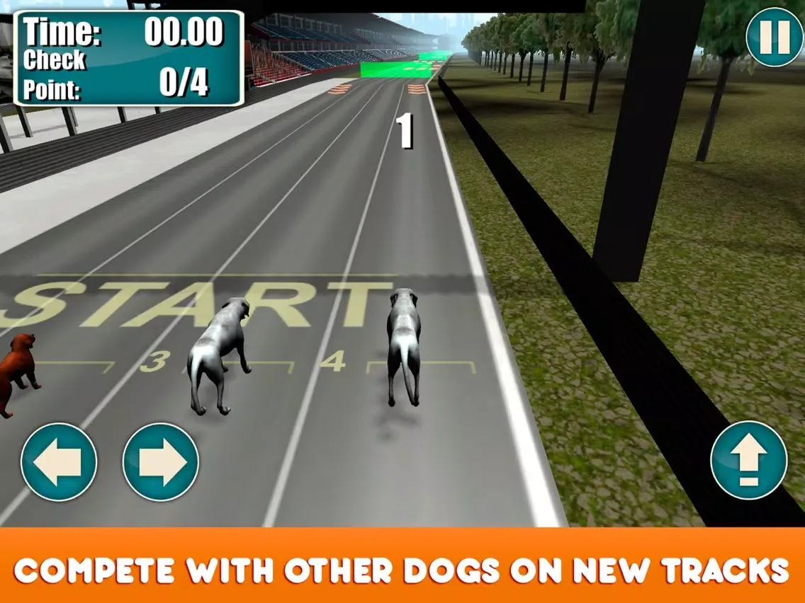 Greyhound Dog Racing Tournament iPad  Screenshots