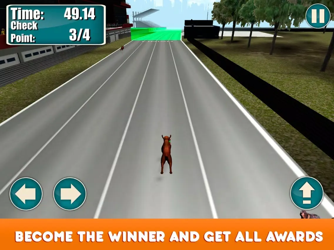 Greyhound Dog Racing Tournament iPad  Screenshots