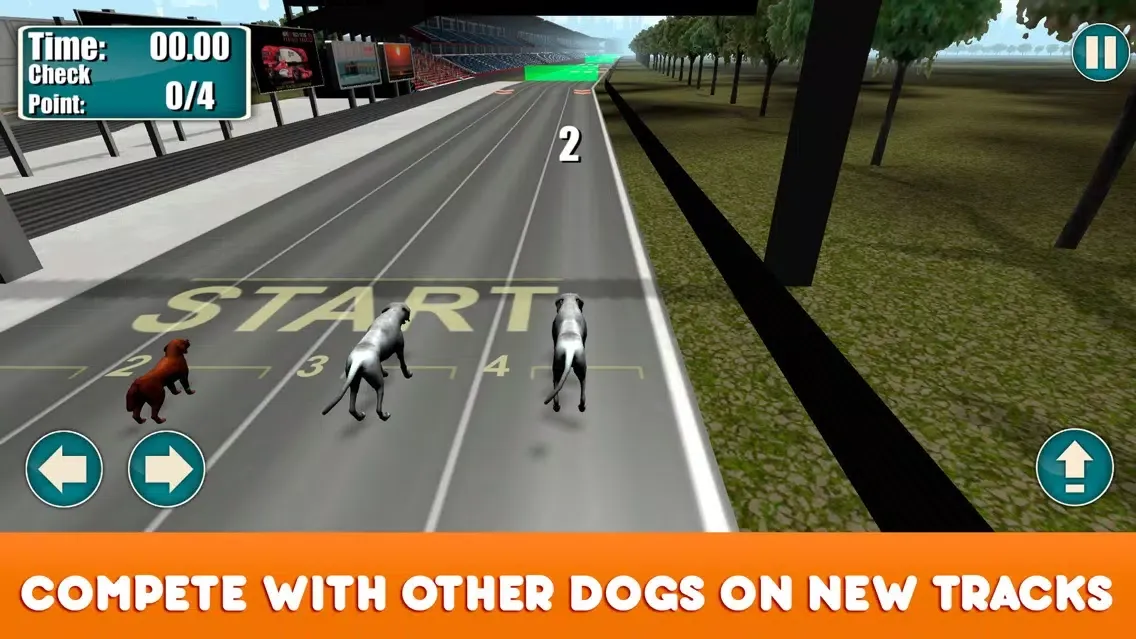 Greyhound Dog Racing Tournament Screenshots