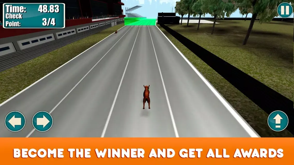 Greyhound Dog Racing Tournament Screenshots