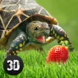 Life of Turtle: House Pet Simulator